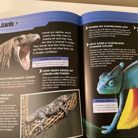 Questions & Answers Hardcover Book - Picture 4 of 4